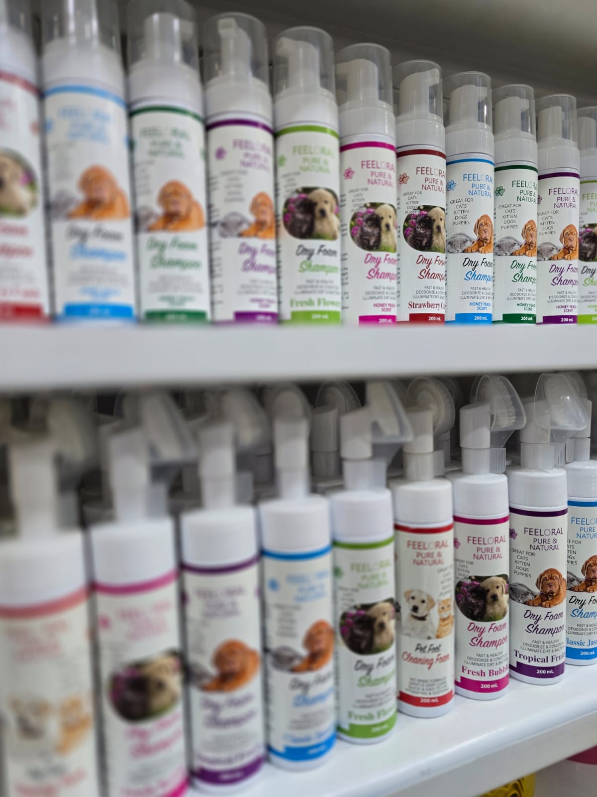 Offer Dry Shampoo and Grooming Glove Only 7$