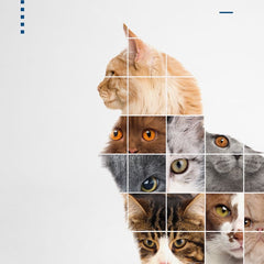 Collection image for: Cat