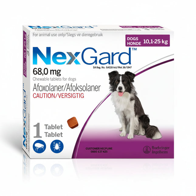 NexGard chewable tablet packaging for dogs with a dog illustration on a white background