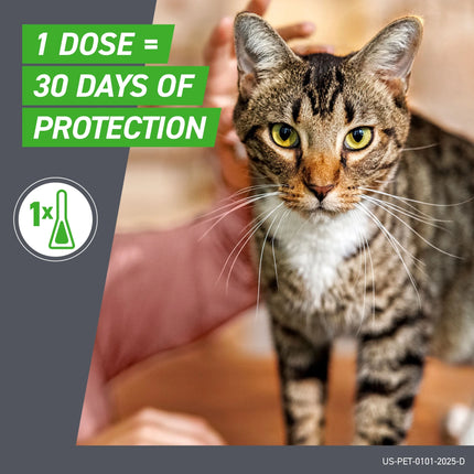 Frontline Plus Spot On For Cats -External Antiparasite - 6 Doses