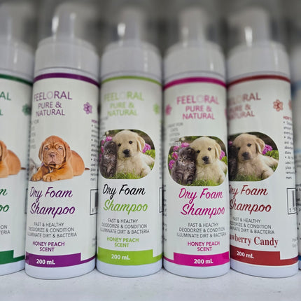 Offer dry shampoo and perfume Cat Dog