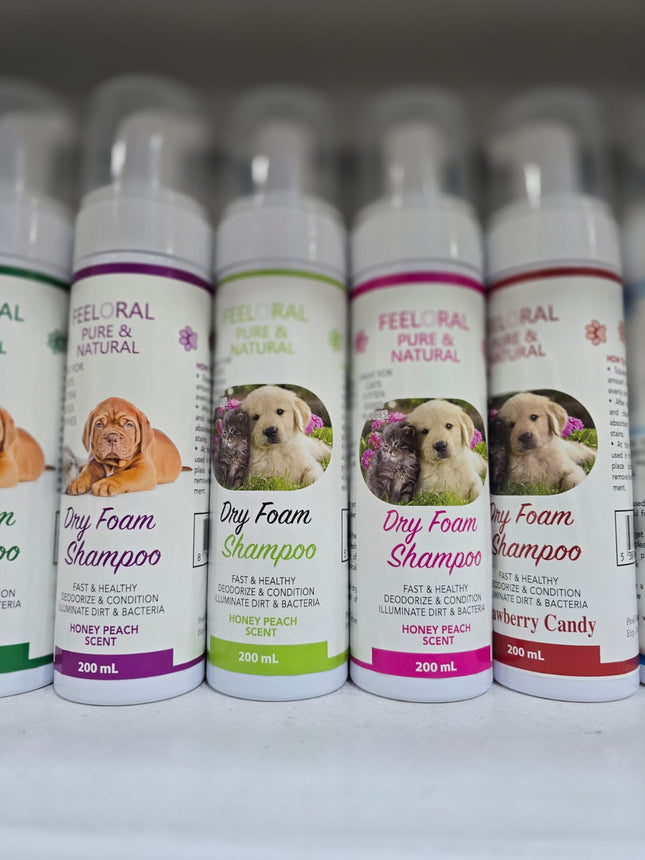 Offer dry shampoo and perfume Cat Dog