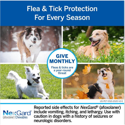 NexGard For Dog - Tick and Flea Protection - 10-25KG - Antiparasite External