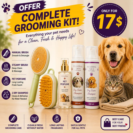 Offer- Manual Brush + Steamy Brush + Perfume + 2 Dry Shampoo| Only for 17$