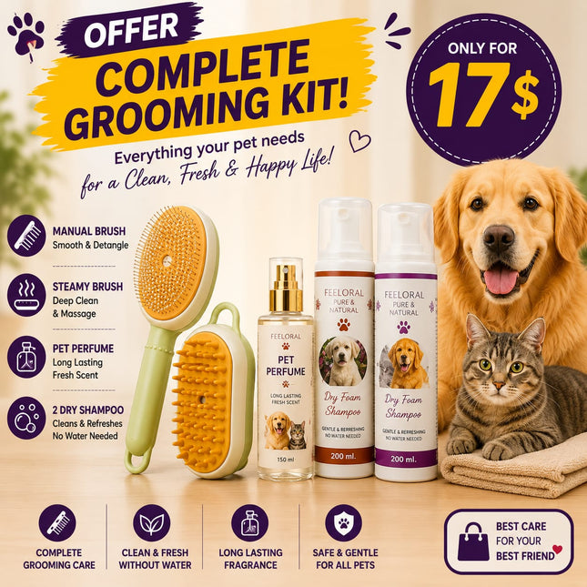 Offer- Manual Brush + Steamy Brush + Perfume + 2 Dry Shampoo| Only for 17$