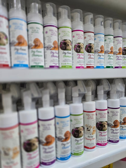 Offer Dry Shampoo and Grooming Glove Only 7$