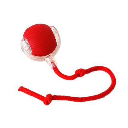 Crazy Ball Toy for Cats & Small Dogs