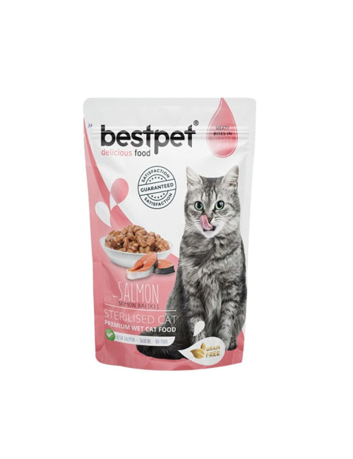 Wet Food Offer 20Pcs for ONLY 10$