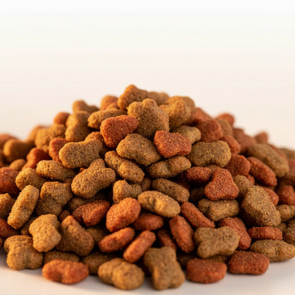 ECONOMI Cat Food 🐾