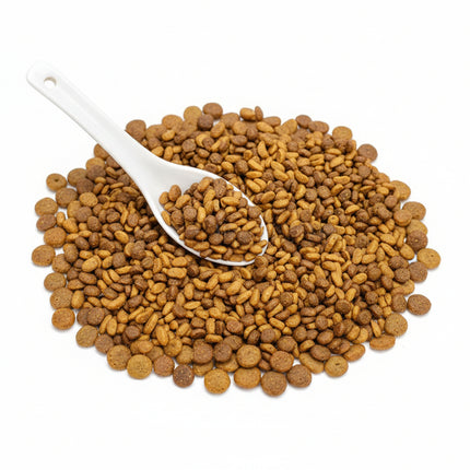 ECONOMI Cat Food 🐾