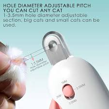 Cat gravity push Clipper