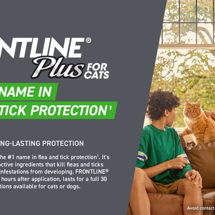 Frontline Plus Spot On For Cats -External Antiparasite - 6 Doses