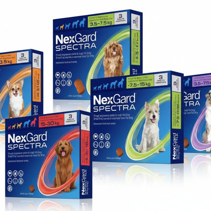 NexGard Spectra – Complete Protection for Dogs