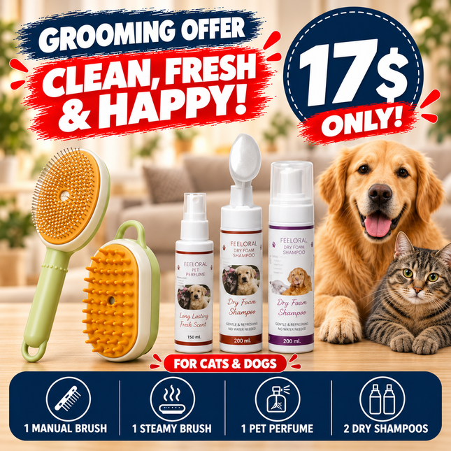 Offer- 1 Manual Brush +1 Steamy Brush +  1 Perfume + 2 Dry Shampoo| Only for 17$
