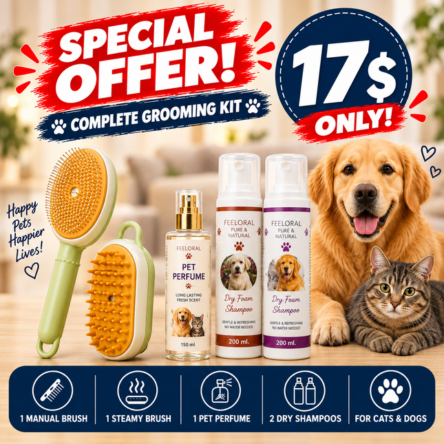 Offer- 1 Manual Brush +1 Steamy Brush +  1 Perfume + 2 Dry Shampoo| Only for 17$