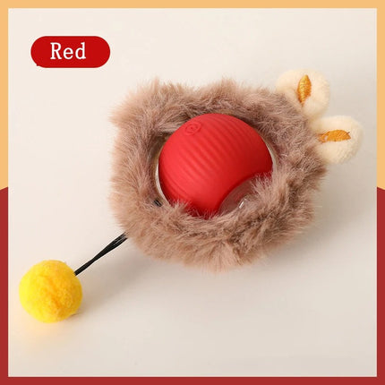 Crazy Ball + Pet Hair Remover Multiple Use