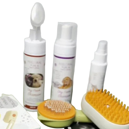 Brush + Steamy Brush + Perfume + 2 Dry Shampoo Offer for ONLY 17$