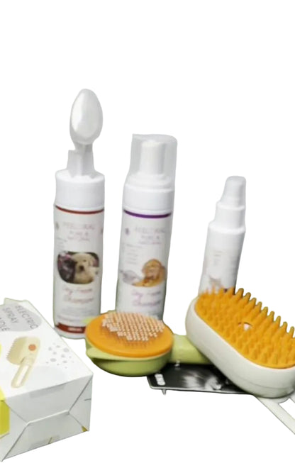 Brush + Steamy Brush + Perfume + 2 Dry Shampoo Offer for ONLY 17$