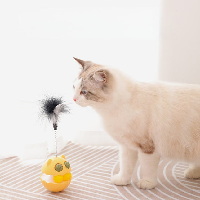 Catnip cat toy