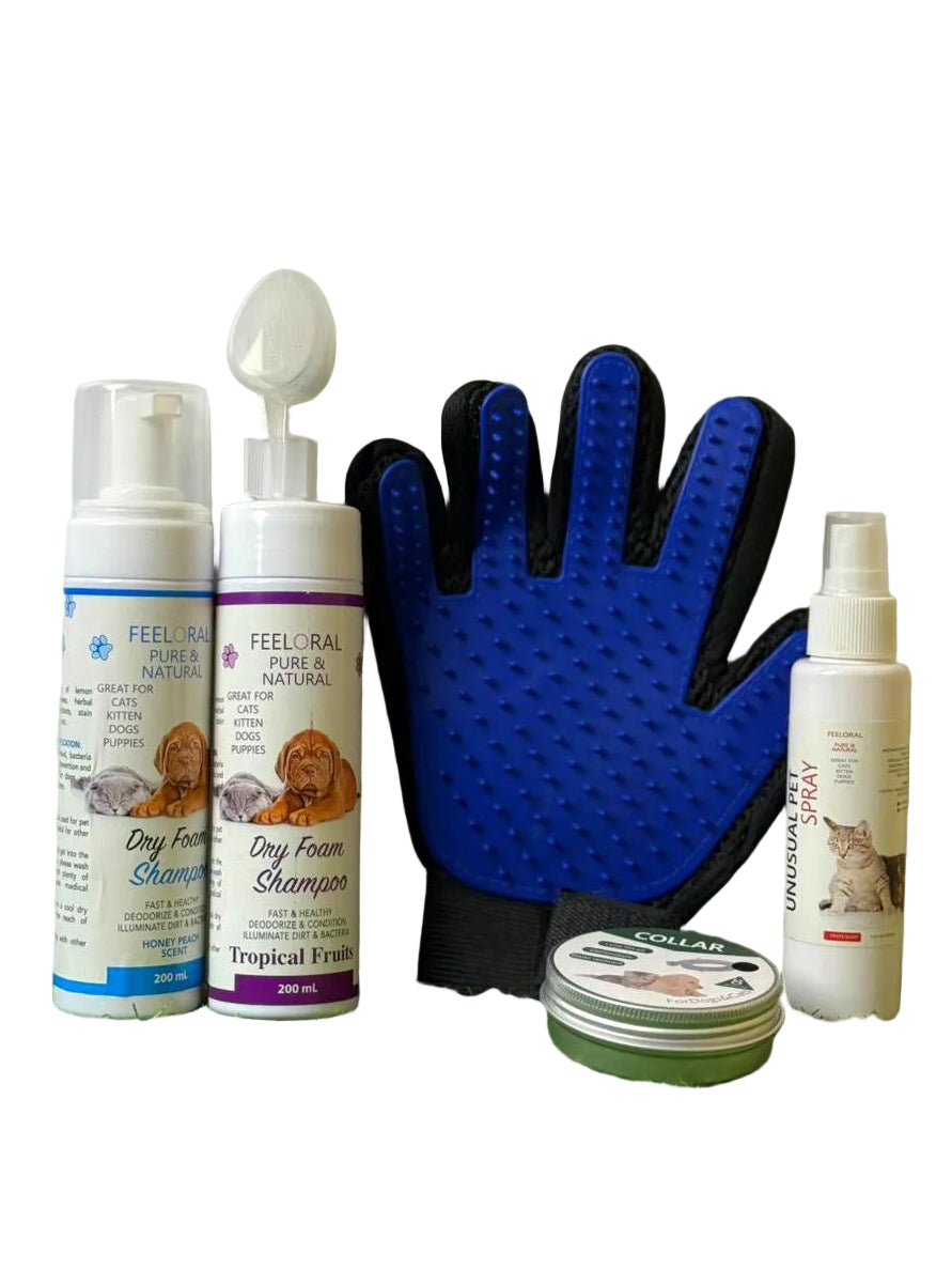 Offer Dry Shampoo and Grooming Glove Only 7$