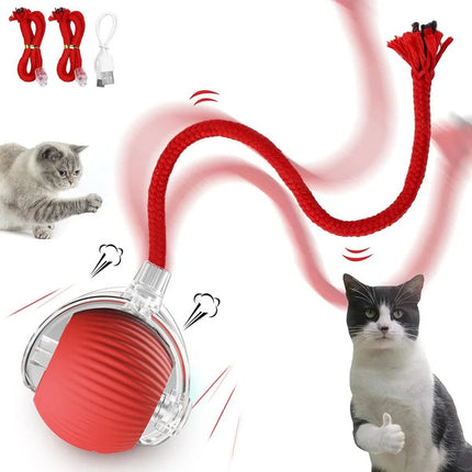 Crazy Ball + Pet Hair Remover Multiple Use