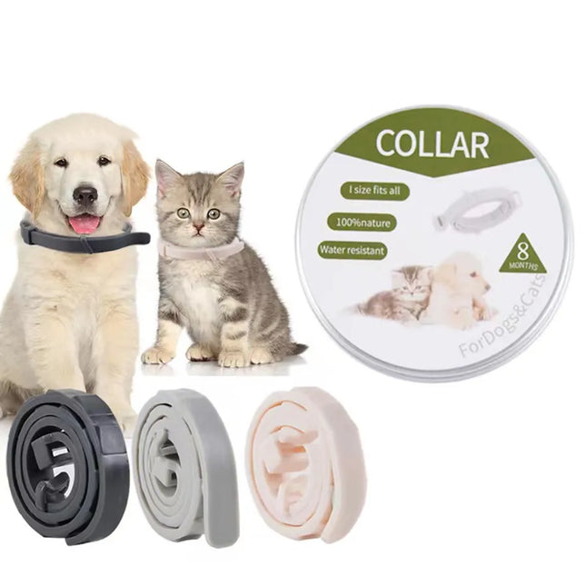 Dog and cat wearing collars with packaging labeled 'Collar' on a white background.