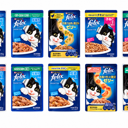 Offer- 10 Cat Super Premium Wet Pouches FELIX | Only for 10$