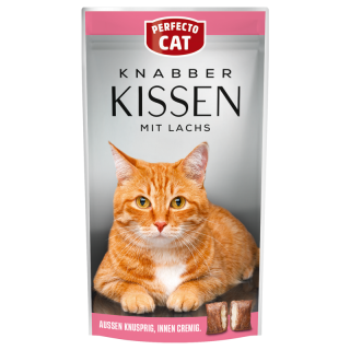 Kissen treat
