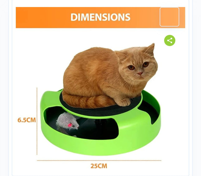 Catch the mouse Cat game
