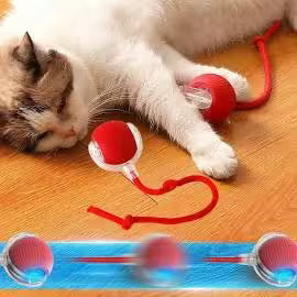 Crazy Ball Toy for Cats & Small Dogs