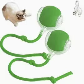 Crazy ball for Cat & Dog