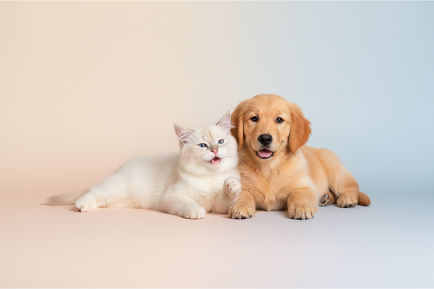 <h1>Essential <span style="text-decoration:underline">pet supplies</span> for retailers who care.</h1>